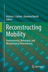 Reconstructing Mobility