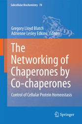 The Networking of Chaperones by Co-chaperones