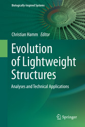 Evolution of Lightweight Structures