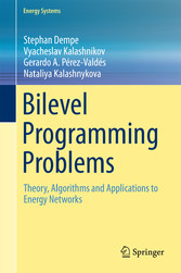 Bilevel Programming Problems