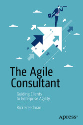 The Agile Consultant