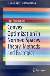 Convex Optimization in Normed Spaces