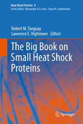 The Big Book on Small Heat Shock Proteins