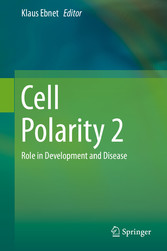 Cell Polarity 2