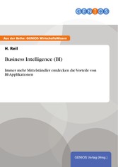 Business Intelligence (BI)