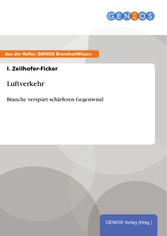 Luftverkehr