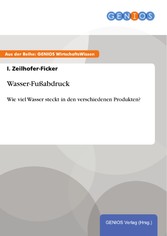 Wasser-Fußabdruck