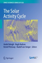 The Solar Activity Cycle