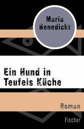 Ein Hund in Teufels Küche