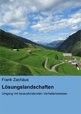 Lösungslandschaften