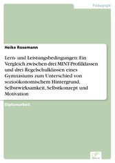 Lern- und Leistungsbedingungen: Ein Vergleich zwischen drei MINT-Profilklassen und drei Regelschulklassen eines Gymnasiums zum Unterschied von sozioökonomischem Hintergrund, Selbstwirksamkeit, Selbstkonzept und Motivation