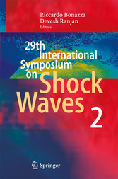 29th International Symposium  on Shock Waves 2