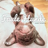 Faule Hunde