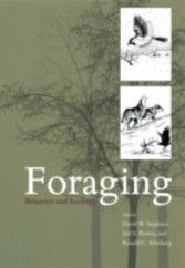 Foraging