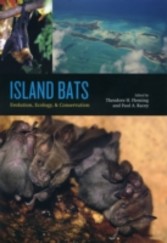 Island Bats