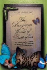 Dangerous World of Butterflies