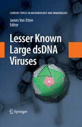 Lesser Known Large dsDNA Viruses