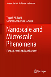 Nanoscale and Microscale Phenomena