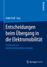 Entscheidungen beim Übergang in die Elektromobilität