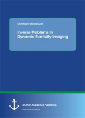 Inverse Problems In Dynamic Elasticity Imaging