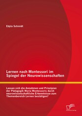 Lernen nach Montessori im Spiegel der Neurowissenschaften: Lassen sich die Annahmen und Prinzipien der Pädagogik Maria Montessoris durch neurowissenschaftliche Erkenntnisse zum Themenbereich Lernen bestätigen?