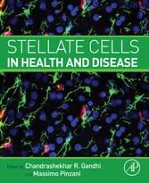 Stellate Cells in Health and Disease