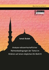 Analyse volkswirtschaftlicher Rahmenbedingungen der Türkei im Hinblick auf einen möglichen EU-Beitritt