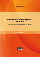 Geostrategische Energiepolitik der Türkei: Die Türkei als Energiedrehscheibe der Zukunft