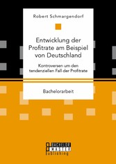 Entwicklung der Profitrate am Beispiel von Deutschland