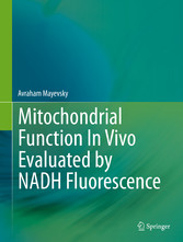 Mitochondrial Function In Vivo Evaluated by NADH Fluorescence