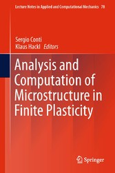 Analysis and Computation of Microstructure in Finite Plasticity