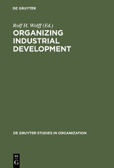 Organizing Industrial Development