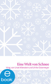 Eine Welt von Schnee