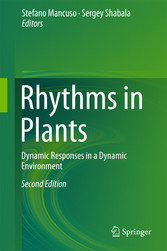 Rhythms in Plants