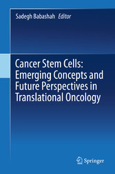 Cancer Stem Cells: Emerging Concepts and Future Perspectives in Translational Oncology