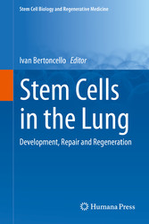 Stem Cells in the Lung