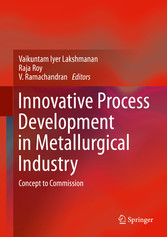 Innovative Process Development in Metallurgical Industry