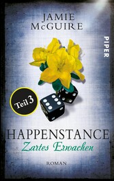 Happenstance Teil 3