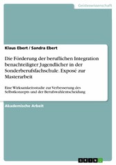 Die Förderung der beruflichen Integration benachteiligter Jugendlicher in der Sonderberufsfachschule. Exposé zur Masterarbeit