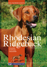 Rhodesian Ridgeback