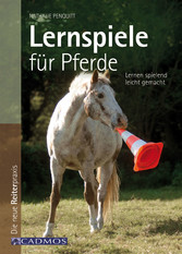 Lernspiele für Pferde