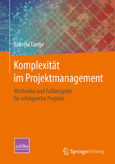 Komplexität im Projektmanagement