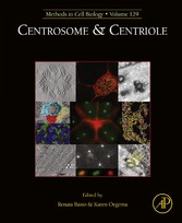 Centrosome and Centriole