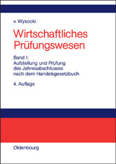 Aufstellung und Prüfung des Jahresabschlusses nach dem Handelsgesetzbuch