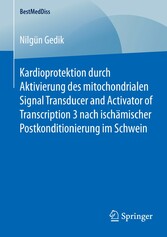 Kardioprotektion durch Aktivierung des mitochondrialen Signal Transducer and Activator of Transcription 3 nach ischämischer Postkonditionierung im Schwein