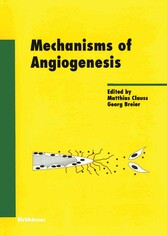 Mechanisms of Angiogenesis