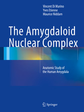 The Amygdaloid Nuclear Complex