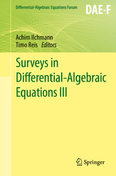 Surveys in Differential-Algebraic Equations III