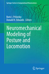 Neuromechanical Modeling of Posture and Locomotion