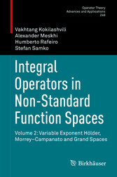 Integral Operators in Non-Standard Function Spaces